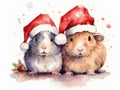 Two Cute Multicolored Guinea Pigs In Christmas Hats