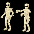 Two cute mummy on a black background