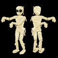 Two cute mummy with hands on a black background Royalty Free Stock Photo