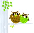 Two cute Owls sitting on the branch. Royalty Free Stock Photo