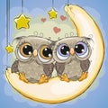 Two Cute Owls is sitting on the moon