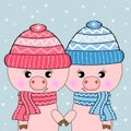 Two cute pigs isolated on a blue background. Hello Winter. Royalty Free Stock Photo