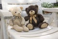 Two cute plush bears sitting on white seat and talking