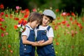 Two cute preschool children, boy brothers, in poppy field, holding a bouquet of wild flowers Royalty Free Stock Photo