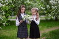 Two cute schoolgirl girls in an apple blossoming garden after school. End of school year