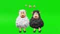 Two cute sheep friends rhythmically dance 3d animation. Friendship Day Children party invitation Ewes couple Love heart