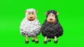 Two cute sheep friends rhythmically dance 3d animation Friendship Day lambs fellows Kids party invitation Ewes soulmates