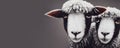 Two cute sheep, funny portrait of animal, livestock farm, easter lamby, generative ai