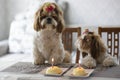 Two cute Shih Tzu dogs in festive hats at a table next to a cake with a candle. Celebration.