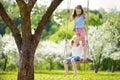 Two cute sisters having fun on a swing in blossoming old apple tree garden outdoors on sunny spring day. Royalty Free Stock Photo