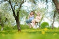 Two cute sisters having fun on a swing in blossoming old apple tree garden outdoors on sunny spring day Royalty Free Stock Photo