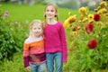 Two cute sisters playing in blossoming dahlia field. Children picking fresh flowers in dahlia meadow on sunny summer day. Royalty Free Stock Photo