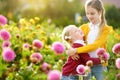 Two cute sisters playing in blossoming dahlia field. Children picking fresh flowers in dahlia meadow on sunny summer day. Royalty Free Stock Photo