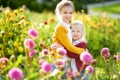 Two cute sisters playing in blossoming dahlia field. Children picking fresh flowers in dahlia meadow on sunny summer day. Royalty Free Stock Photo