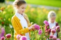 Two cute sisters playing in blossoming dahlia field. Children picking fresh flowers in dahlia meadow on sunny summer day. Royalty Free Stock Photo