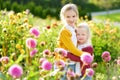 Two cute sisters playing in blossoming dahlia field. Children picking fresh flowers in dahlia meadow on sunny summer day Royalty Free Stock Photo