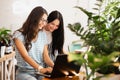 Two cute slim girls with long dark hair,wearing casual style,sit at the table and look attentively at the laptop screen Royalty Free Stock Photo