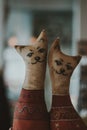 Two cute smiling cat dolls on the table