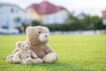 Two cute teddy bear toys hugging together on green grass in summer Royalty Free Stock Photo