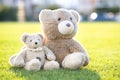 Two cute teddy bear toys sitting together on green grass in summer Royalty Free Stock Photo