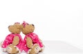 Two adorable soft teddy bears dressed in pink dresses with bows, sitting back to back on a clean white background, showcasing a Royalty Free Stock Photo