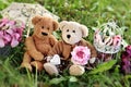 Two cute teddy bears sitting on the grass in the garden