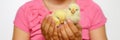 Two cute tiny newborn yellow baby chicks in kid`s girl hands. banner. Royalty Free Stock Photo