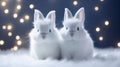 Two cute white furry rabbit hare sit close-up on a fur blanket against a blue background with beaming flashlights