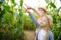 Two cute young girls having fun in a corn maze field during autumn season. Games and entertainment during harvest time Royalty Free Stock Photo