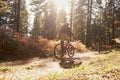 Two cyclists biking on a forest trail, backlit, back view