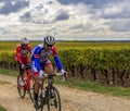 Two Cyclists- Paris Tours 2020