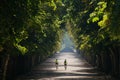 Two cyclists in the park Royalty Free Stock Photo