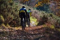 Two cyclists practicing mountain bike in a forest Royalty Free Stock Photo