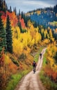 Two cyclists riding along an autumn forest road, back view, wellness and sport activity in autumn