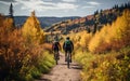 Two cyclists riding along an autumn forest road, back view, wellness and sport activity in autumn