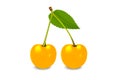 Two 3d yellow realistic cherries with a leaf on the stem, isolated on a white background. Royalty Free Stock Photo