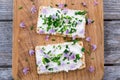 Two dairy and lactose-free vegan cream cheese spread made from c
