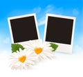 Two daisies with heart shaped middles and photos. Vector Royalty Free Stock Photo