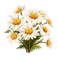 Realistic White Daisy Clipart: Meticulously Detailed Vector Illustration