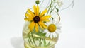 Two daisies, white and yellow, in a vase of water on a white isolate. Background picture. Royalty Free Stock Photo