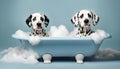 Two dalmatian dogs taking a bath in a bathtub Royalty Free Stock Photo