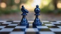 Two dark blue chess pieces, knight and pawn, facing each other on a chessboard outdoors Royalty Free Stock Photo