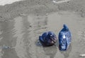 Two dark city pigeons wash in a puddle. Birds in the city Royalty Free Stock Photo