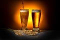 two dark glass beer pouring with ears of wheat on light background, Oktoberfest concept Royalty Free Stock Photo