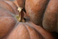 Two dark orange cinderella pumpkins Royalty Free Stock Photo