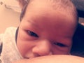 Two days old newborn baby boy breastfeeding Royalty Free Stock Photo
