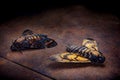Two dead moths Acherontia atropos Royalty Free Stock Photo