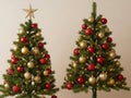 Two decorated christmas trees isolated on white background Royalty Free Stock Photo