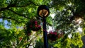 Two decorative flower pots hanging on the garden lamp Royalty Free Stock Photo