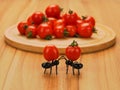 Two decorative funny ants on the table holding cocktail tomatoes Royalty Free Stock Photo